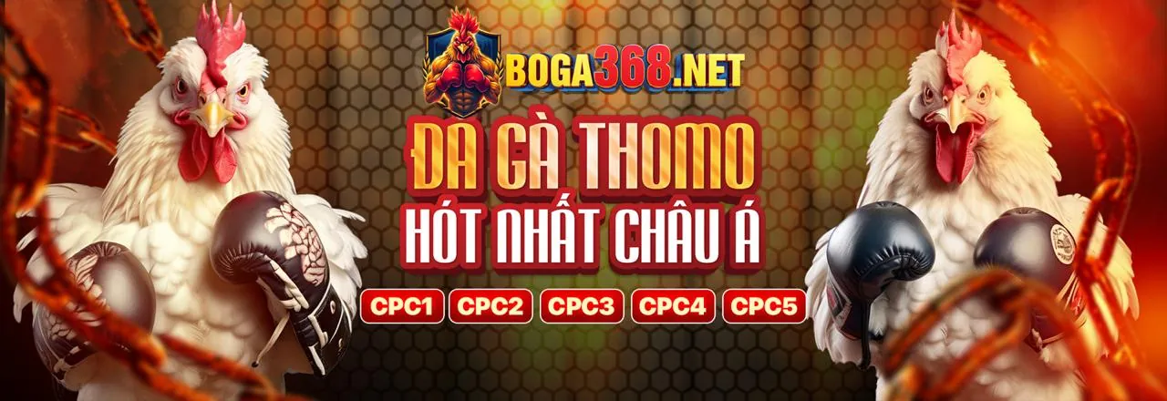 Đá gà trực tuyến 988bet login